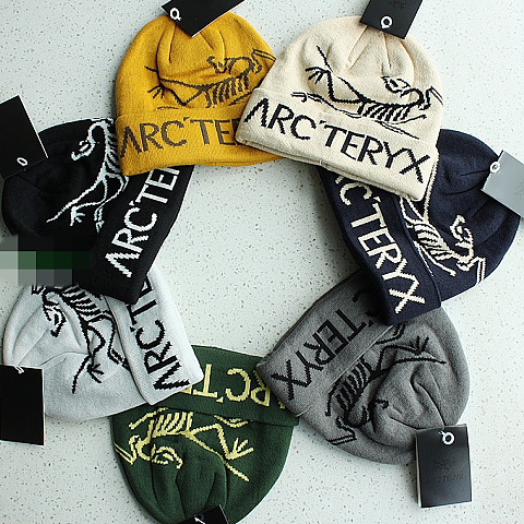 [DR] 아크테릭스 버드 워드 토크 7가지 색상 비니