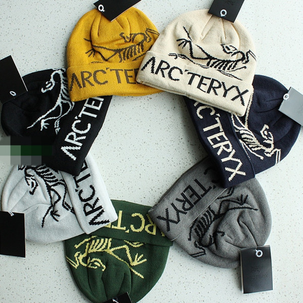 [DR] 아크테릭스 버드 워드 토크 7가지 색상 비니