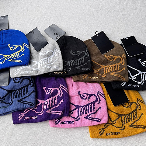 [DR] 아크테릭스 버드 헤드 토크 8가지 색상 비니