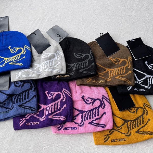 [DR] 아크테릭스 버드 헤드 토크 8가지 색상 비니